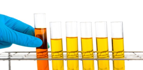 Quick Fix Synthetic Urine Kit Roanoke VA 24030